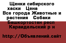 Щенки сибирского хаски › Цена ­ 12 000 - Все города Животные и растения » Собаки   . Башкортостан респ.,Караидельский р-н